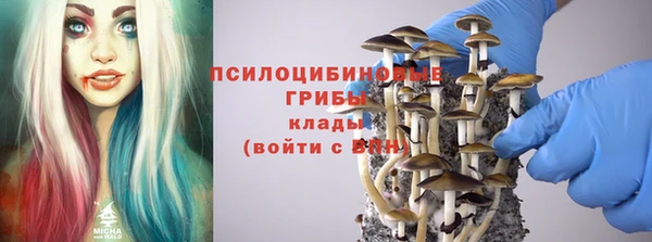 прущие крисы Лабытнанги