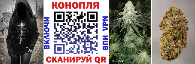 Марихуана семена Полярные Зори